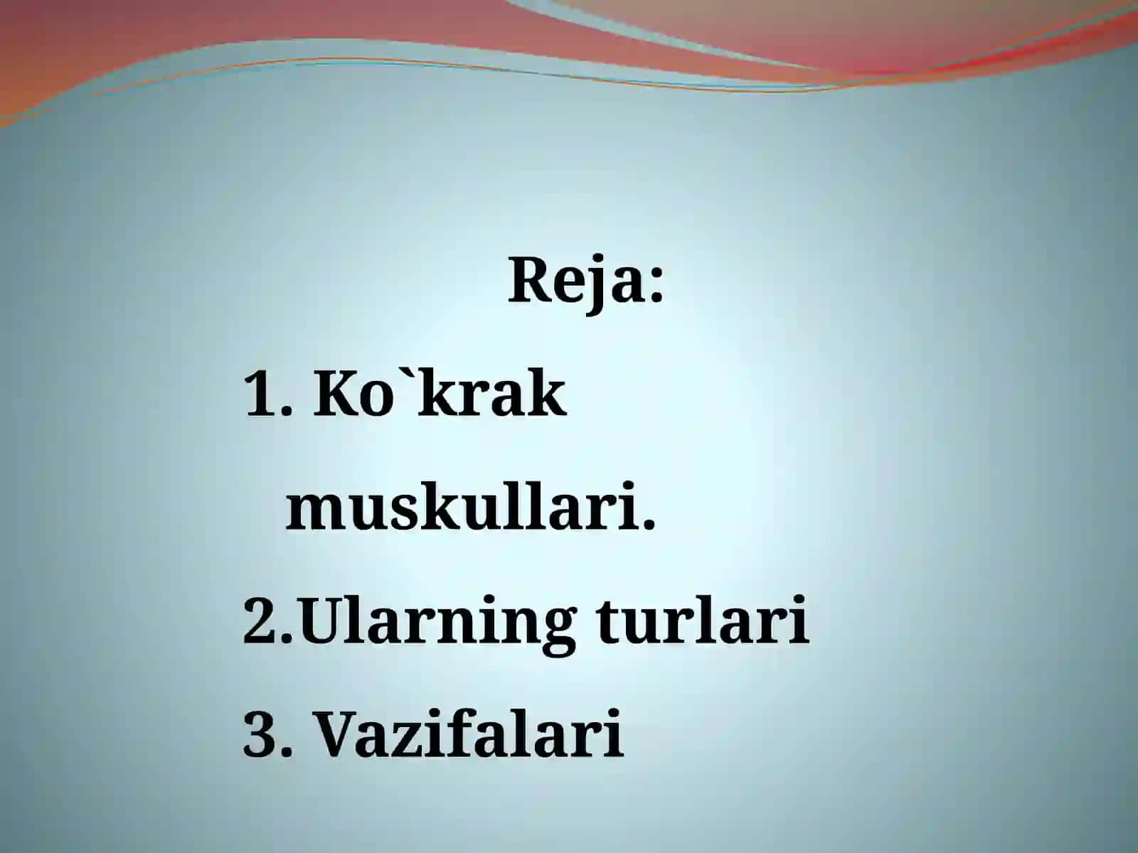 Кукрак мускуллари 2