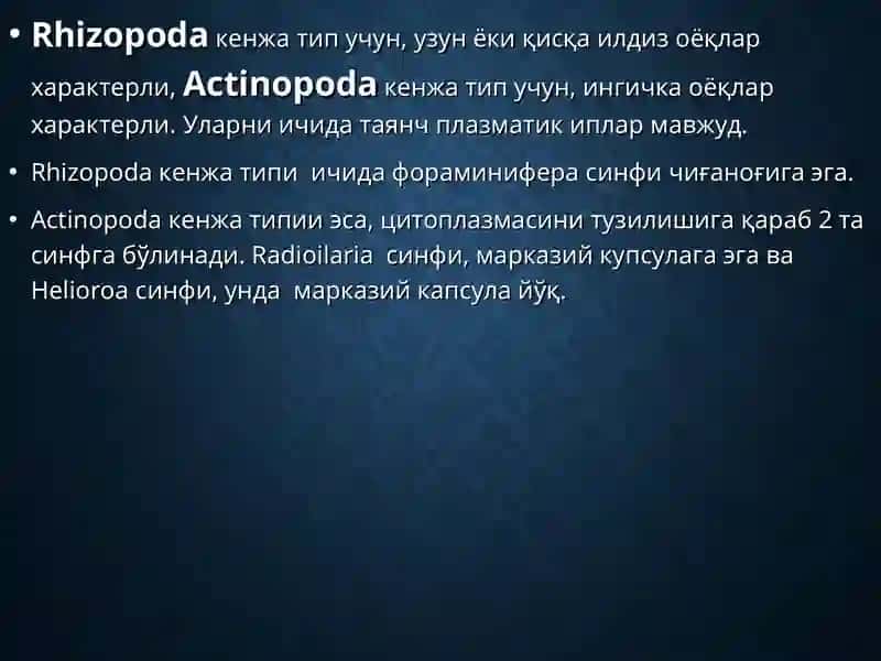 Саркодалилар Типи 2
