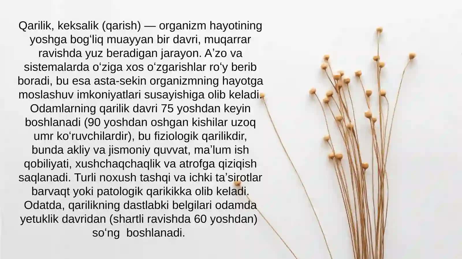 Qarilik davrining ijtimoiy muommolari 2