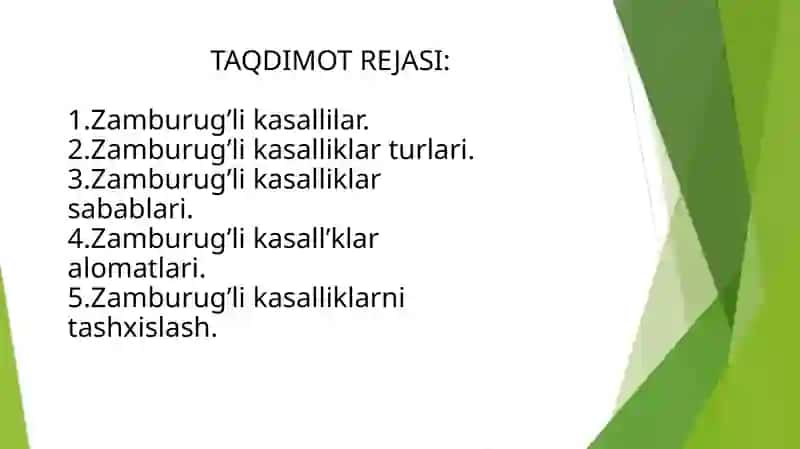 Zamburug‘li kasalliklarning qo'zg'atuvchilari , patogenezi va labaratoriya tekshiruvi 2