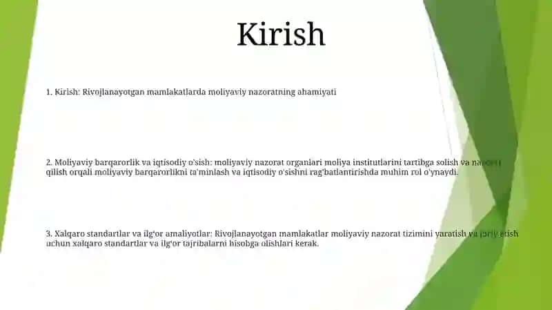 Rivojlаngаn Mаmlаkаtlаrdа Moliyaviy Nаzorаtni Tаshkil Etish 2