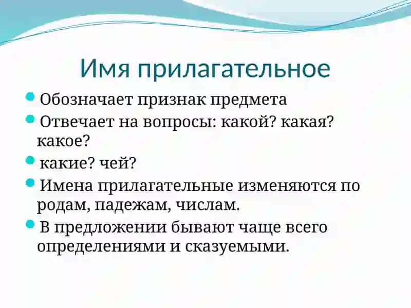 Имя прилагательное 2