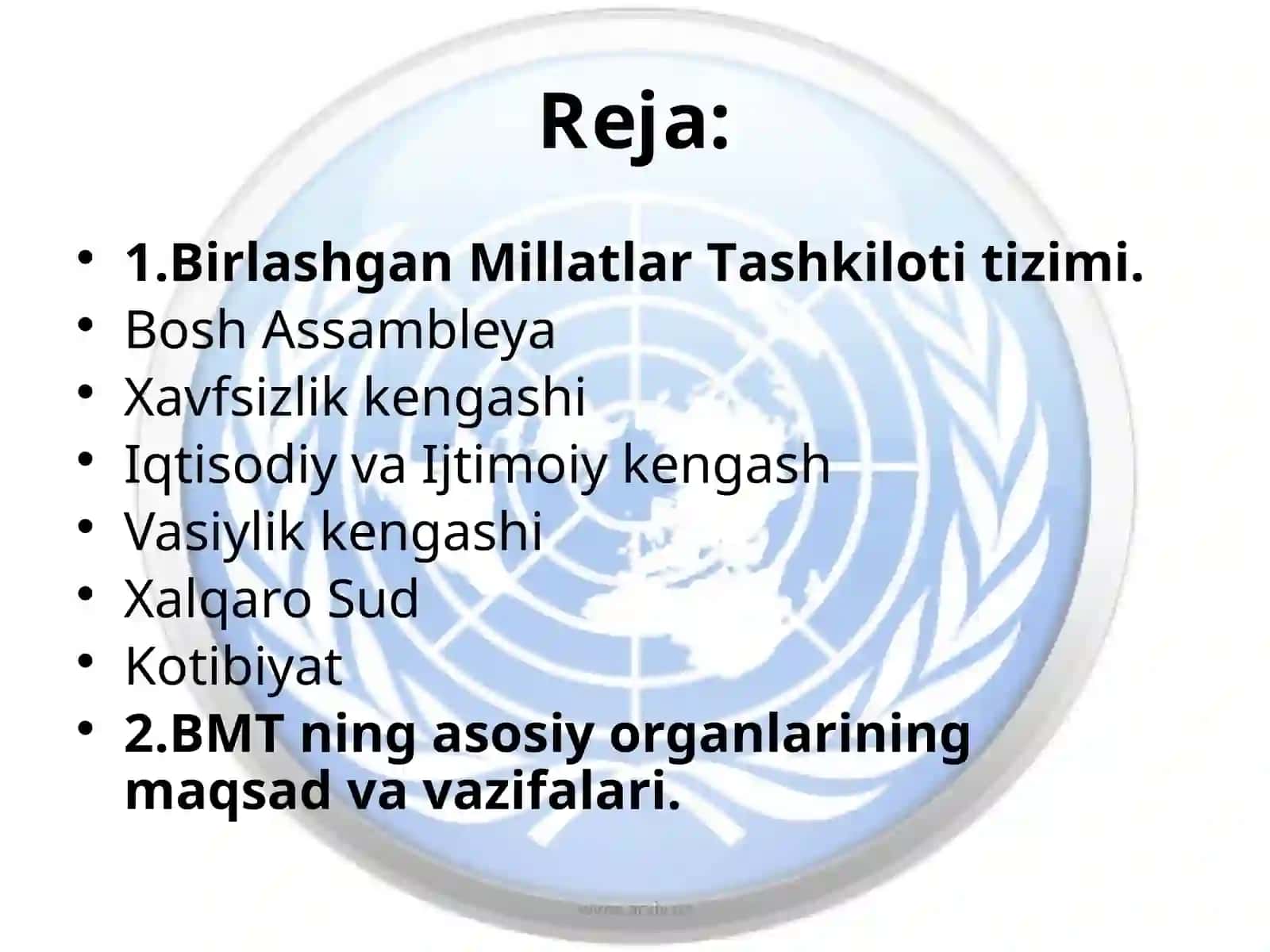 Inson huquqlarini himoya qilish sohasida BMT asosiy organlarining roli 2