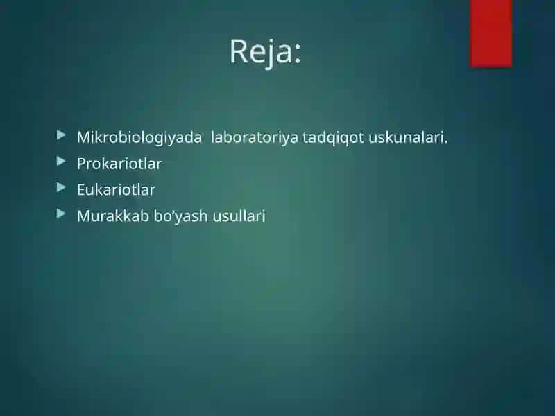 Mikroorganizmlarning strukturasi, murakkabbo’yashusullari 2