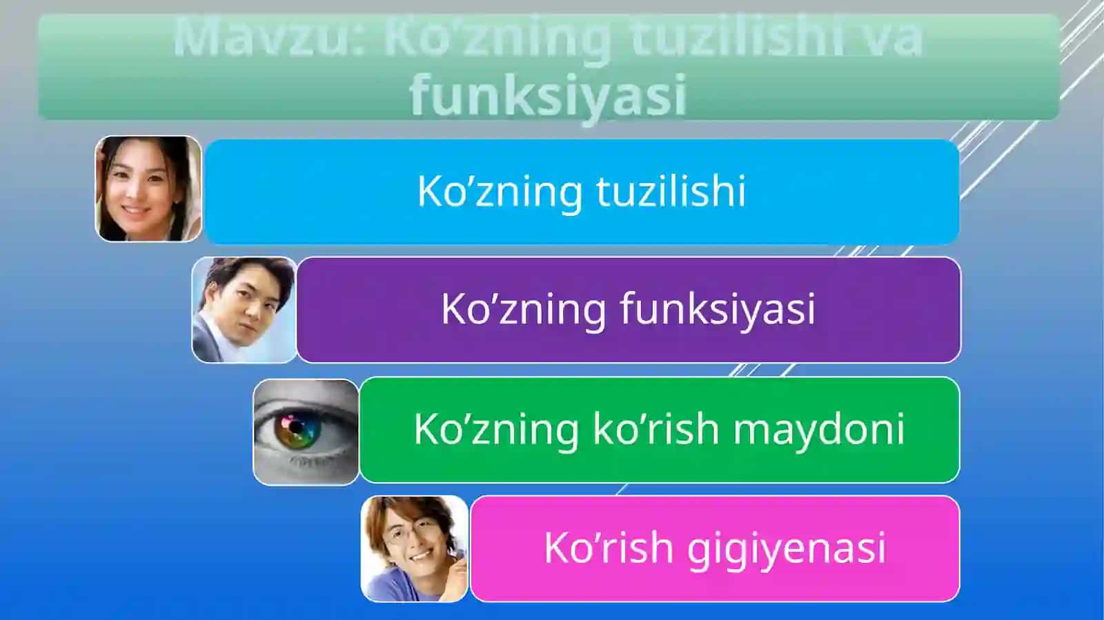 KO`ZNING TUZILISHI VA FUNKSIYALARI 2