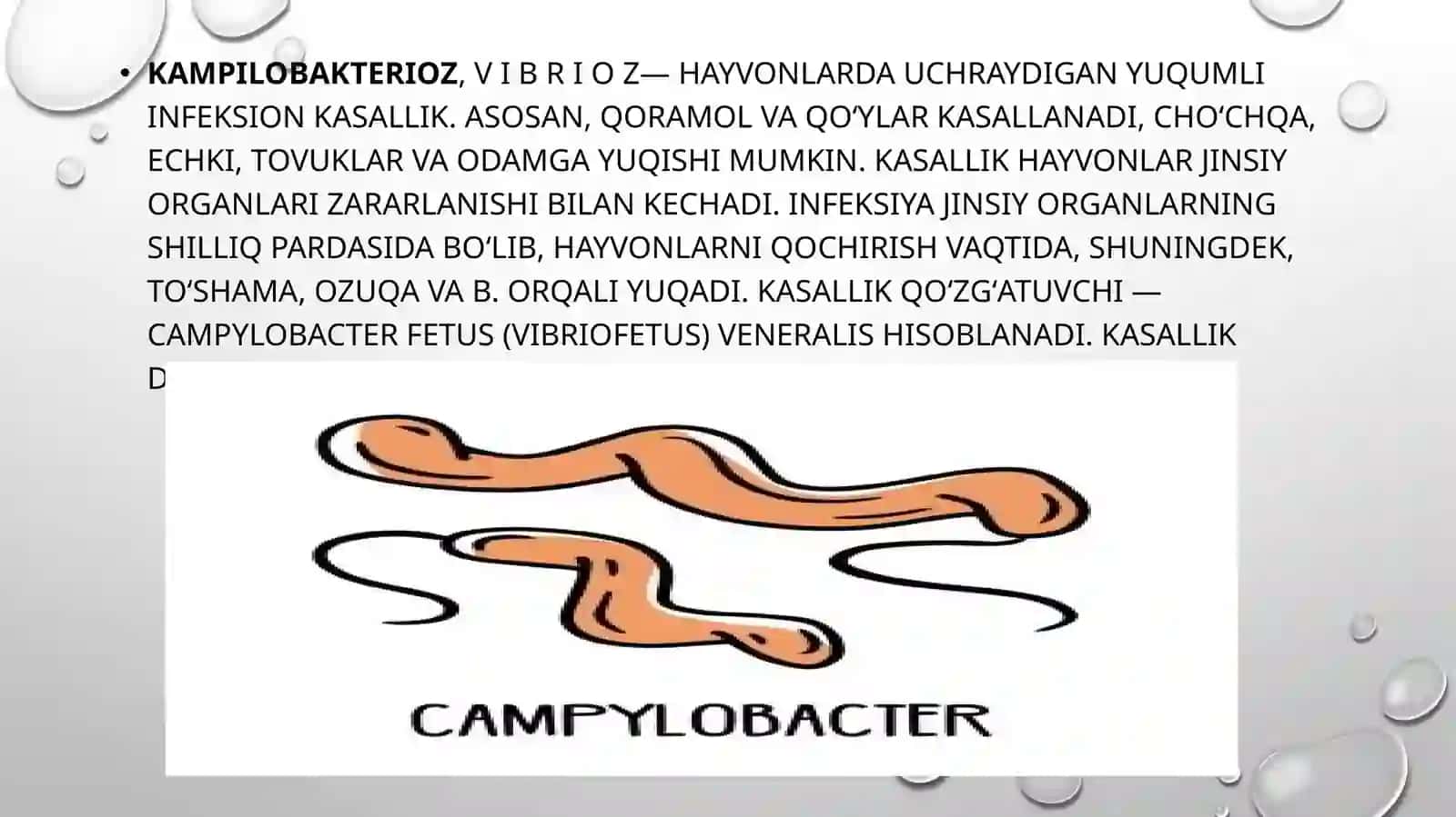 Kampilobakterioz etiologiyasi, epidemiologiyasi, patogenezi, diagnostikasi va davolash 2