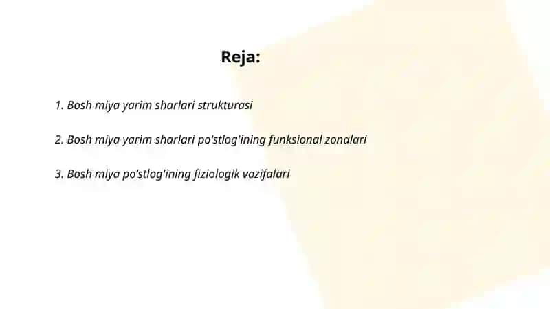 Bosh miya yarim sharlari po'stlog'ining fiziologiyasi 2
