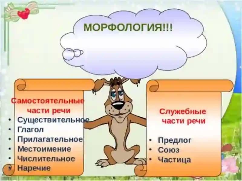 Морфология. Имя существительное как часть речи 2