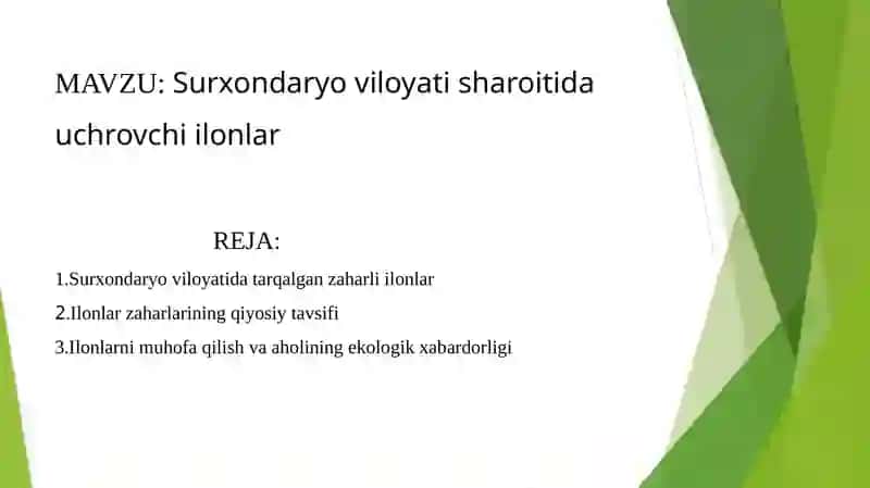 Zoologiya fanidan kurs ishi 2