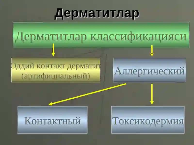 Дерматитлар 2