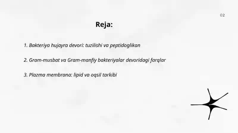 Bakteriya hujayrasining tuzilishi va kimyoviy tarkibi 2