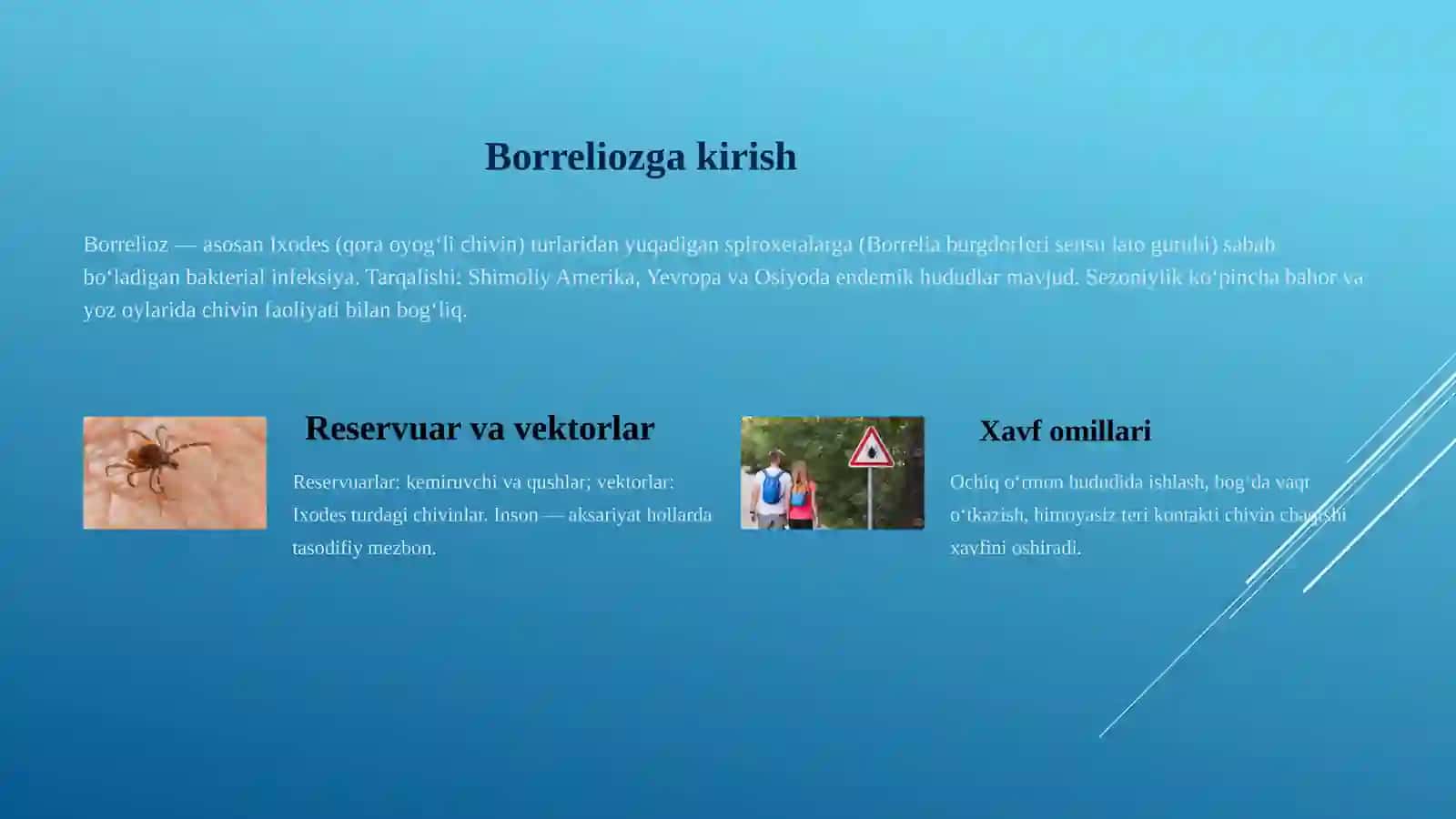 Borrelioz (Layma kasalligi) va Leptospiralar: Morfologiya, Kasalliklar va Diagnostika 2