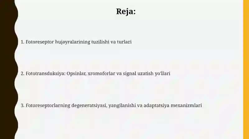 Fotoretsepsiyaningmorfologikasoslari 2