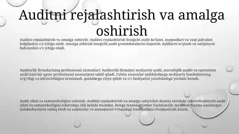 Auditorlik Tashkilotlarining Proffesional Xizmatlari 2