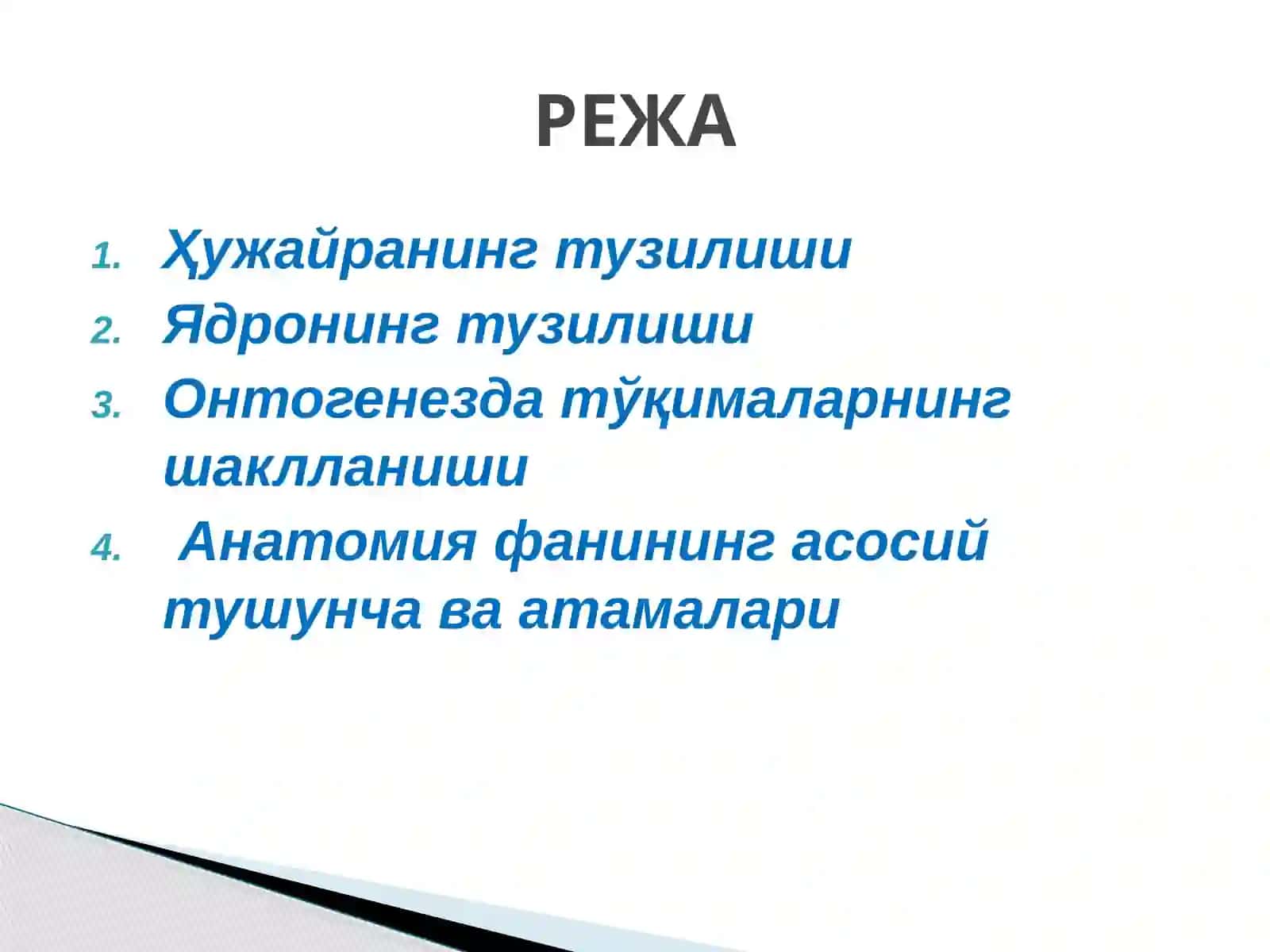 Одам танасининг умумий тузилиши 2