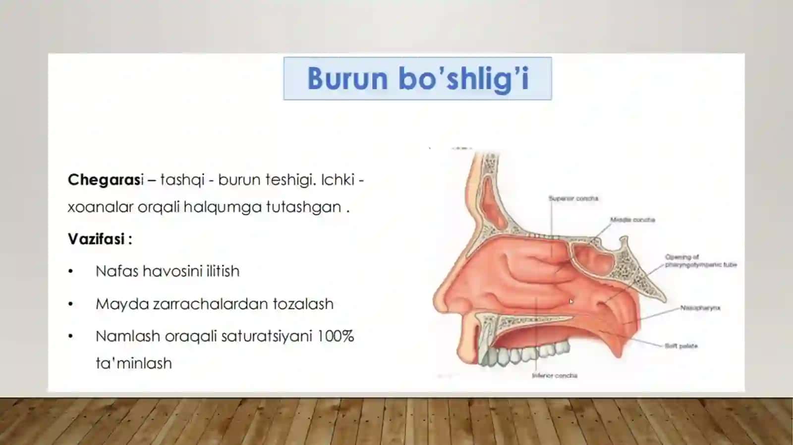 NAFAS OLISH TIZIMI FIZIOLOGIYASI 2