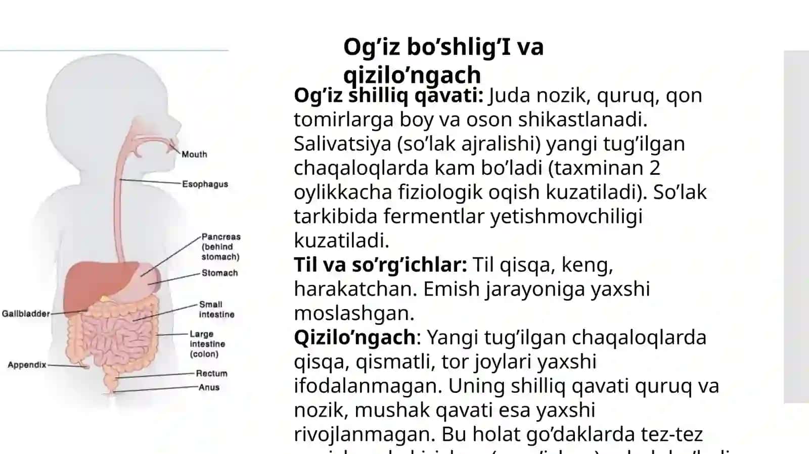 Bolalarda me’da va ichaklarning anatomo-fiziologik xususiyatlari | Pediatriya uchun taqdimot 2