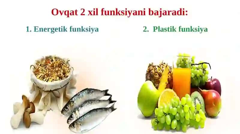 Energiya almashinuvi. Bir kecha kunduzgi ovqat ratsionini tuzish 2