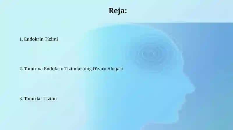 Vena va endokrin sistemalar 2