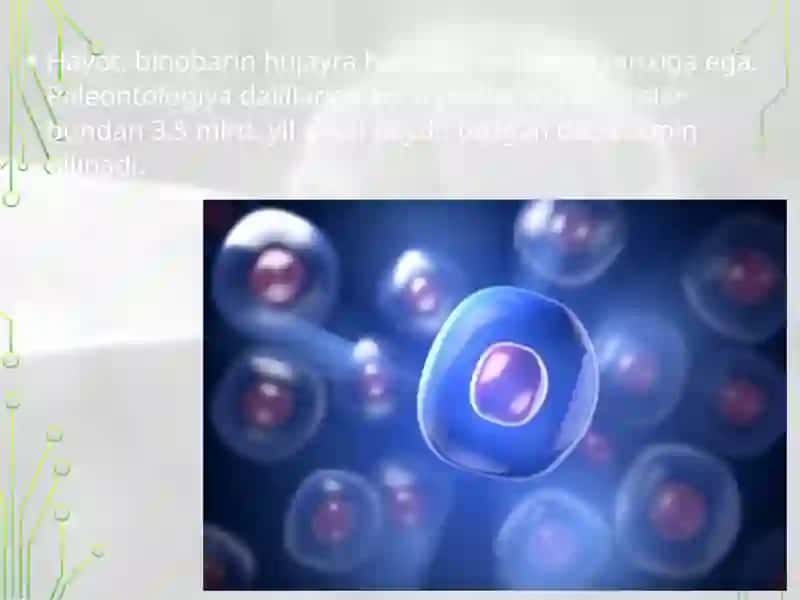 Hujayra lar evolutsiyasi 2