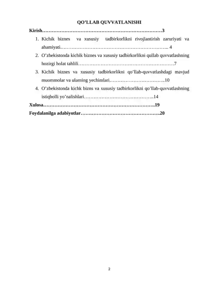 Kichik biznes va xususiy tadbirkorlikni qo’llab-quvvatlash 2