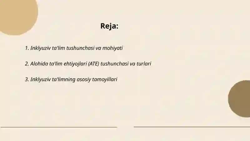 Alohida ta'lim ehtiyojlari bo'lgan shaxslarni inklyuziv konsepsiyasining mohiyati va qoidalari 2
