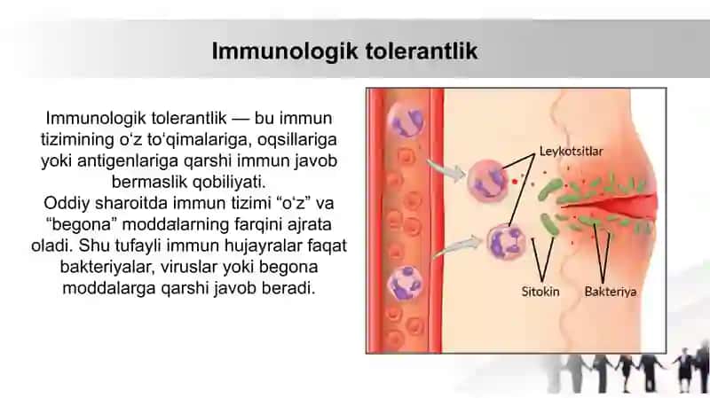 Immunologik tolerantImmunologik tolerantlik nuqsonlari. Autoimmun xastaliklar. Psevdoallergiya. Atopikkasalliklar haqida tushuncha, dori va ozuqaviy allergiyalik nuqsonlari 2