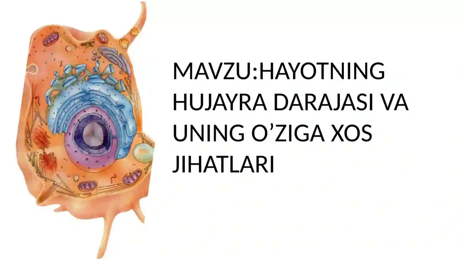 HAYOTNING HUJAYRADARAJASIVA UNINGO’ZIGAXOS JIHATLARI 2