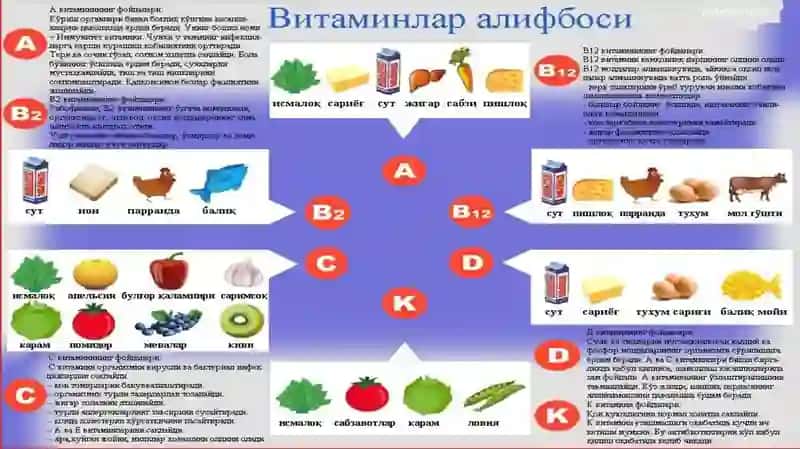 N.I. Luning hayvon organizmi vitaminlar siz yashay olmasligini aytgan 2