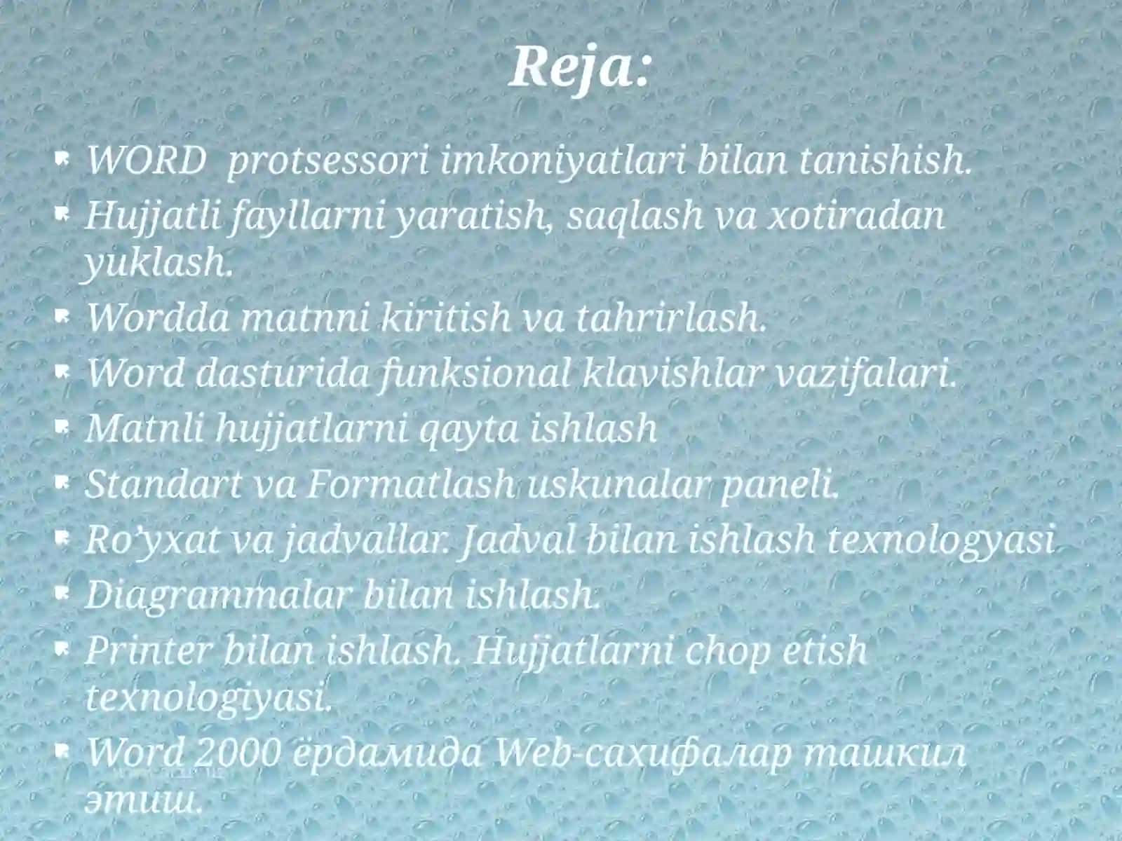 Matn muharriri MS word dasturi 2