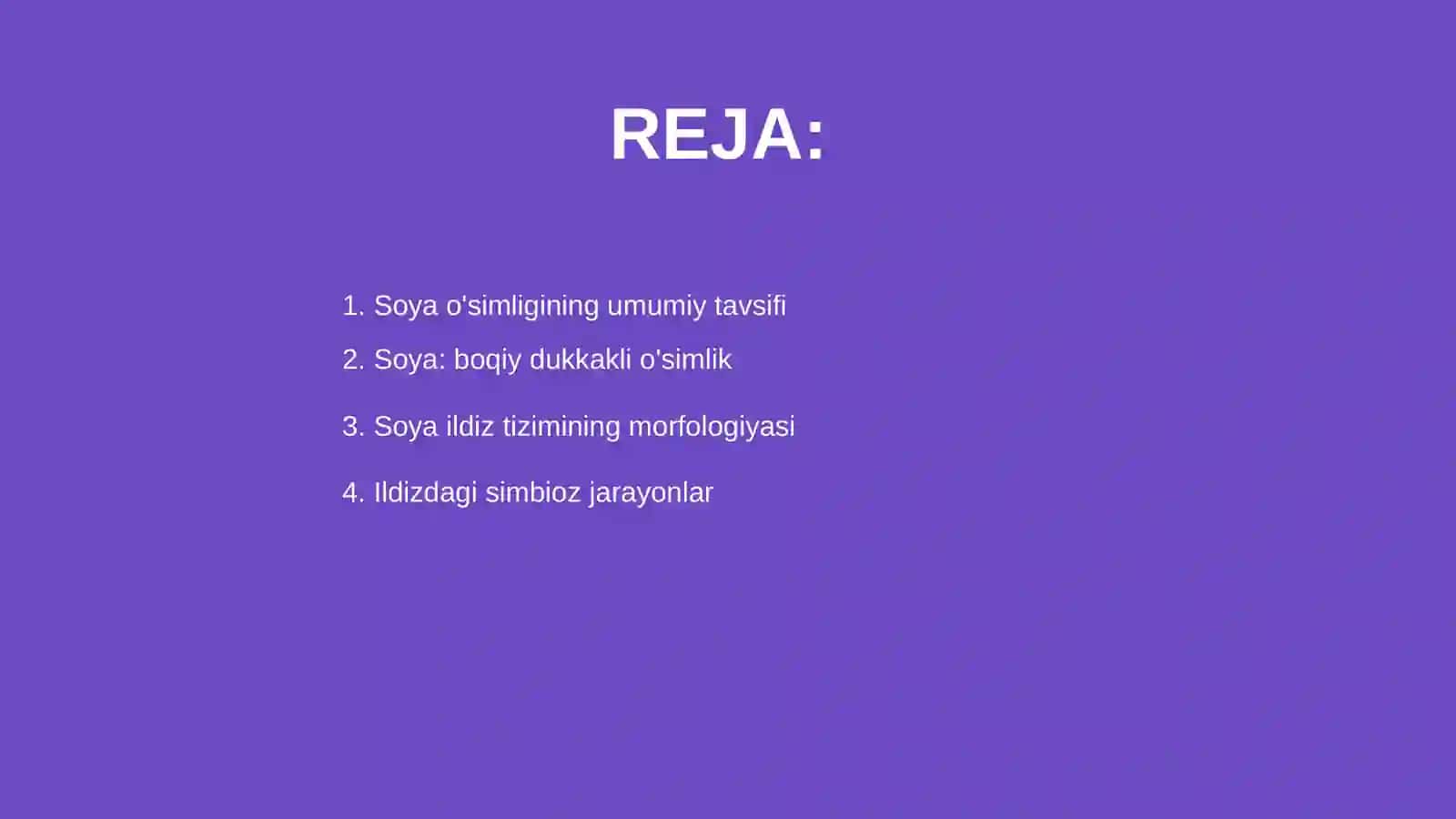 Soya o'simligi 2