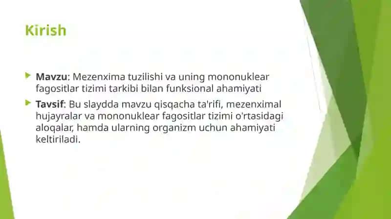 Mezenxima tuzulishi ahamiyatini mononuklear fagositlar tizimi tarkibi bilan funksional ahamiyati 2