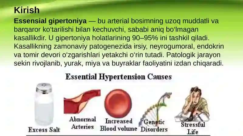 Essensial gipertoniya patogenezining zamonaviy aspektlari 2