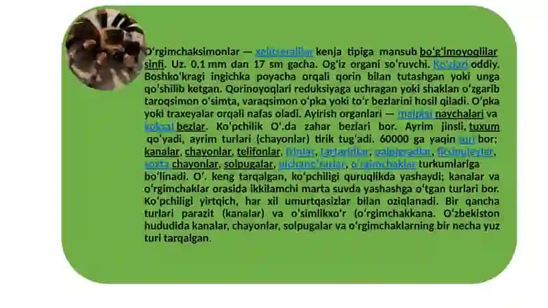 O`RGIMCHAKSIMONLAR: QISHLOQ KANASI ,QICHIMA,IT VA TAYGA KANALAR. TIBBIYOTDA AHAMIYATGA EGA BO`LGAN HASHOROTLAR:BIT,BURGA.CHIVINLAR,PASHSHALAR,ISKAPTOPAR.ZAHARLI HAYVONLAR. 2