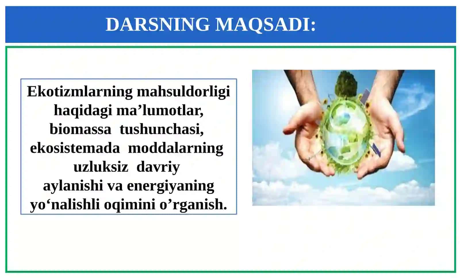 11-sinf Biologiya fanidan Ekotizimlarning mahsuldorligi mavzuda dars taqdimoti 2