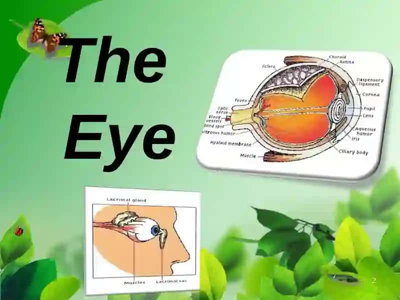 The Eye 2