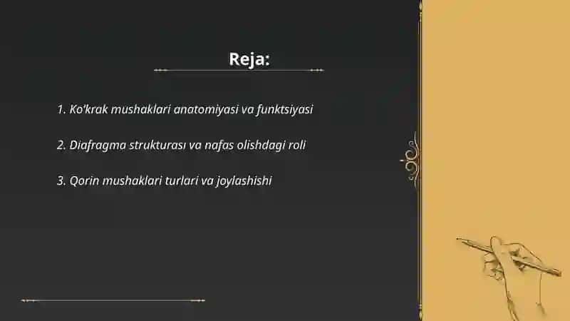 Koʻkrak mushaklari diafragma 2