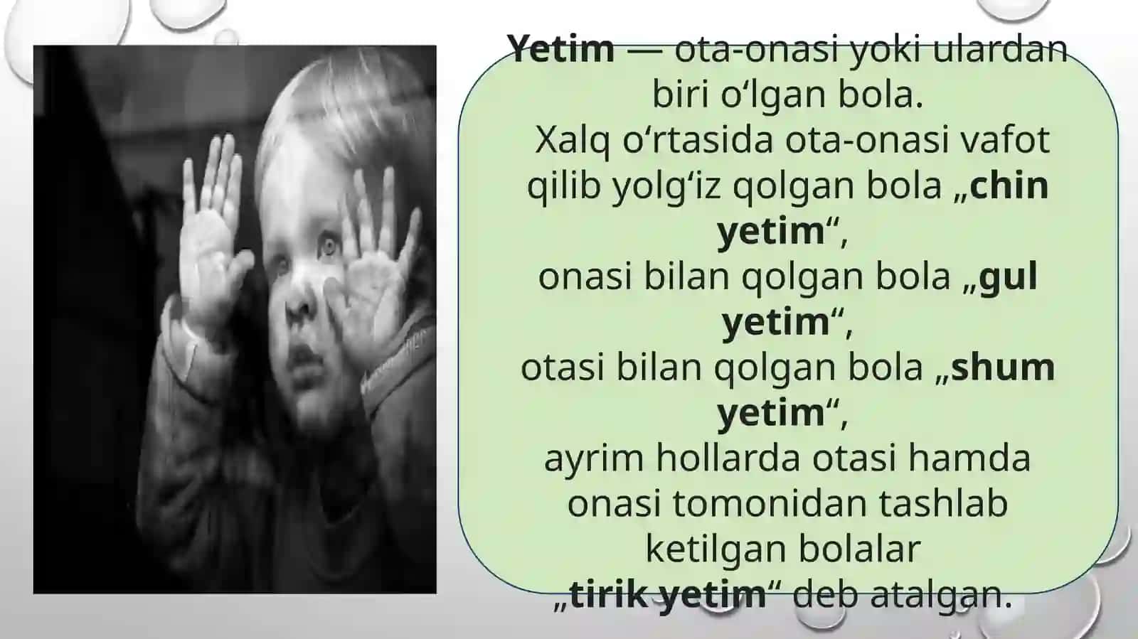 Yetim va ota-ona qaramogʻisiz qolgan bolalarni ijtimoiy himoyalash 2