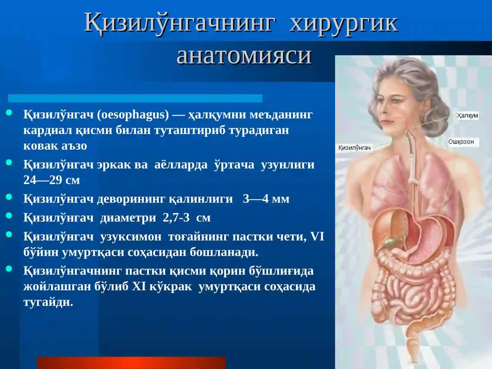 ҚИЗИЛЎНГАЧНИНГ ХИРУРГИК КАСАЛЛИКЛАРИ 2