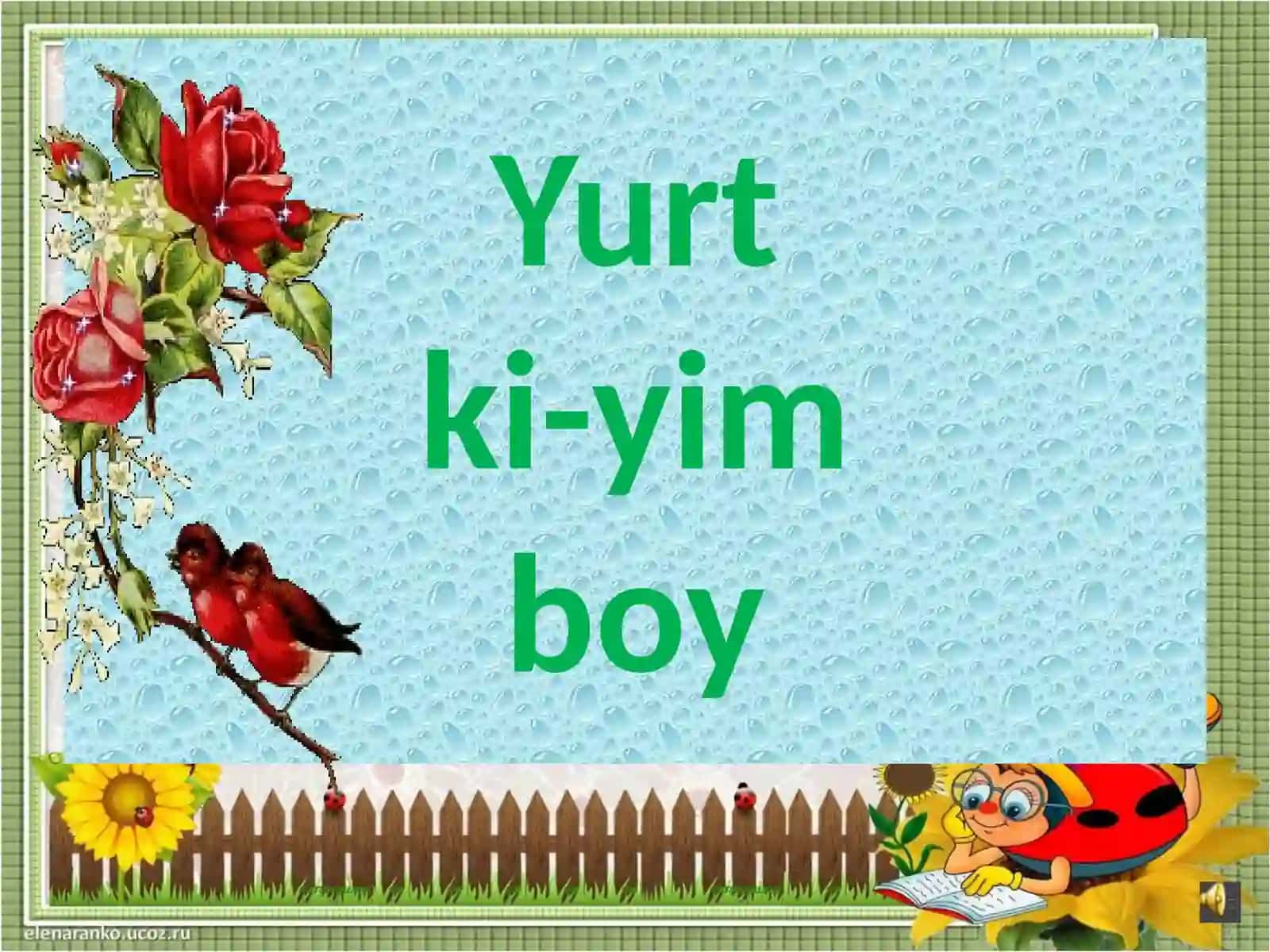 Yurtki-yimboy 2