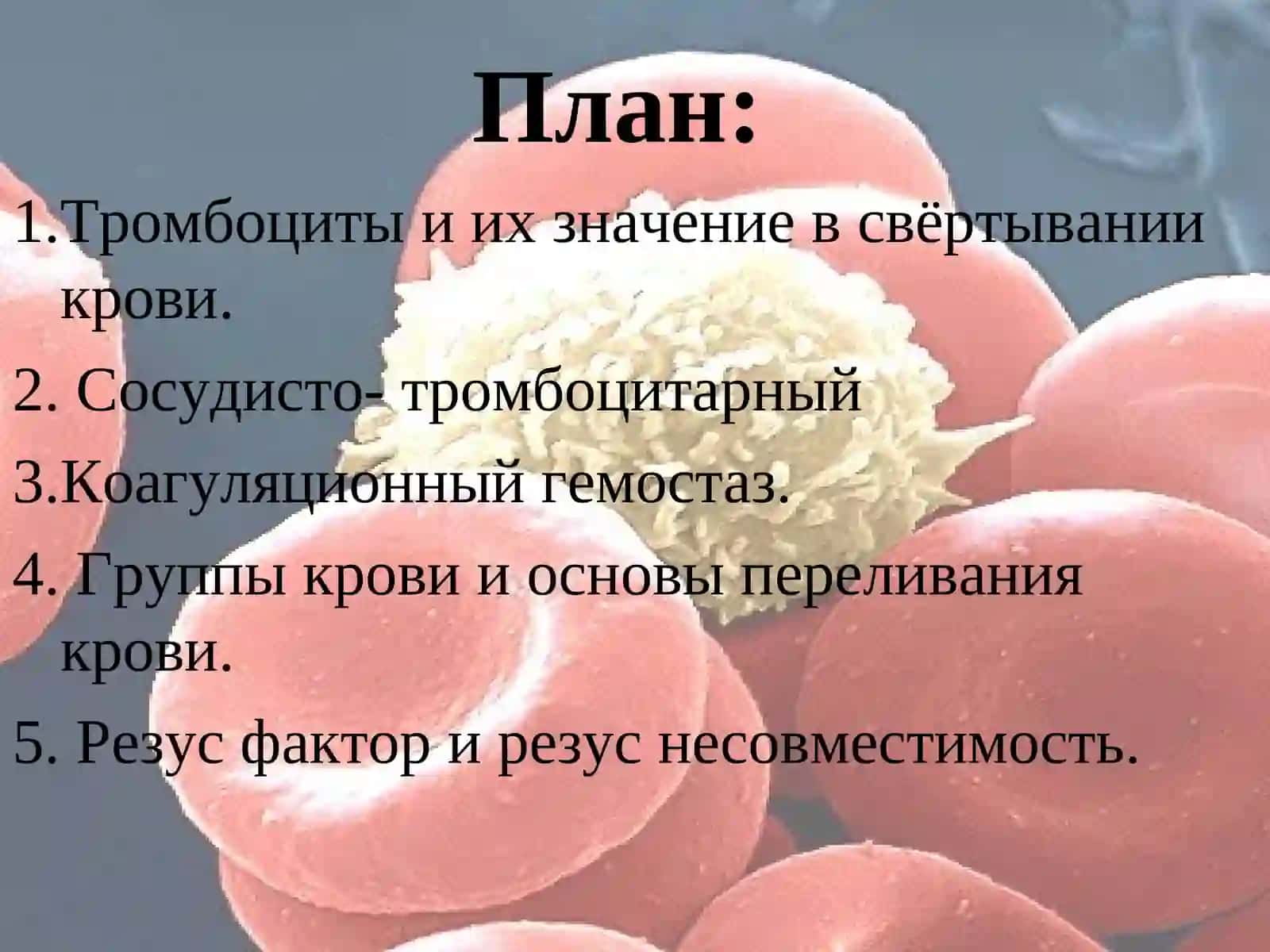 Кровь. Гемостаз. Группы крови. Резус – фактор 2