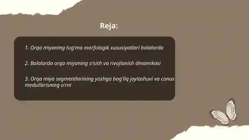 Bolalarda orqa miya anatomo-fiziologik xususiyatlari 2