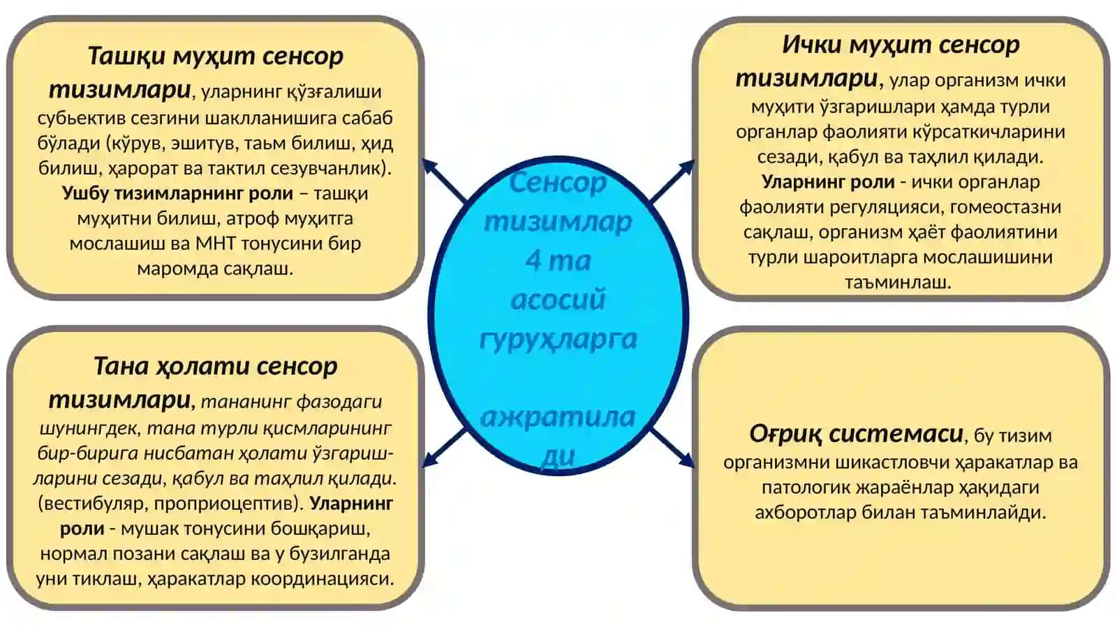 Анализаторлар, структураси ва функциялари 2
