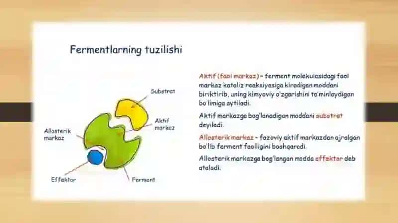 BIOLOGIK FAOL KOMPLEKS BIRIKMALARI. ( Fermentlari ) 2