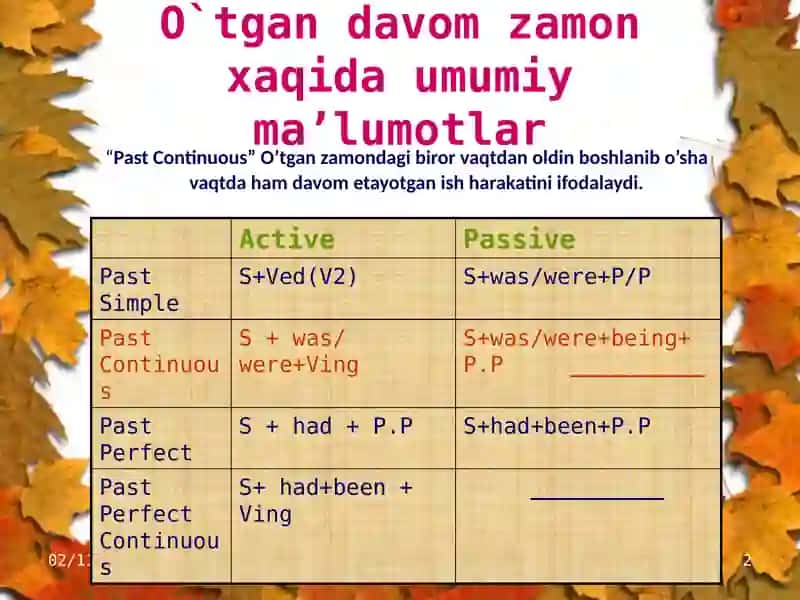 Past Continuous Tense 2