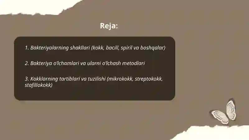 Bakteriya morfologiyasi 2