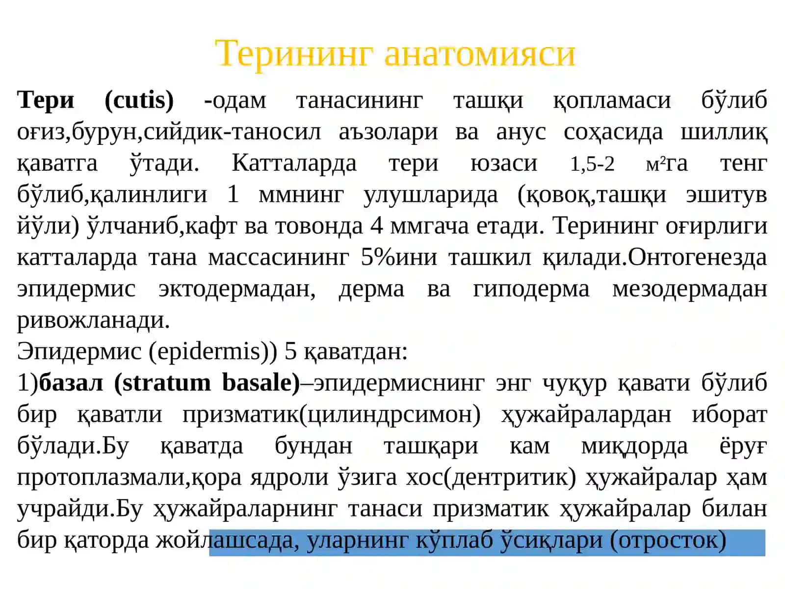 ТЕРИ РАКИ 2