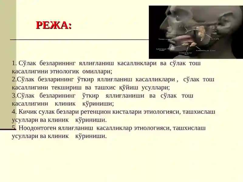 СЎЛАК БЕЗЛАРИНИНГЯЛЛИҒЛАНИШ КАСАЛЛИКЛАРИ 2