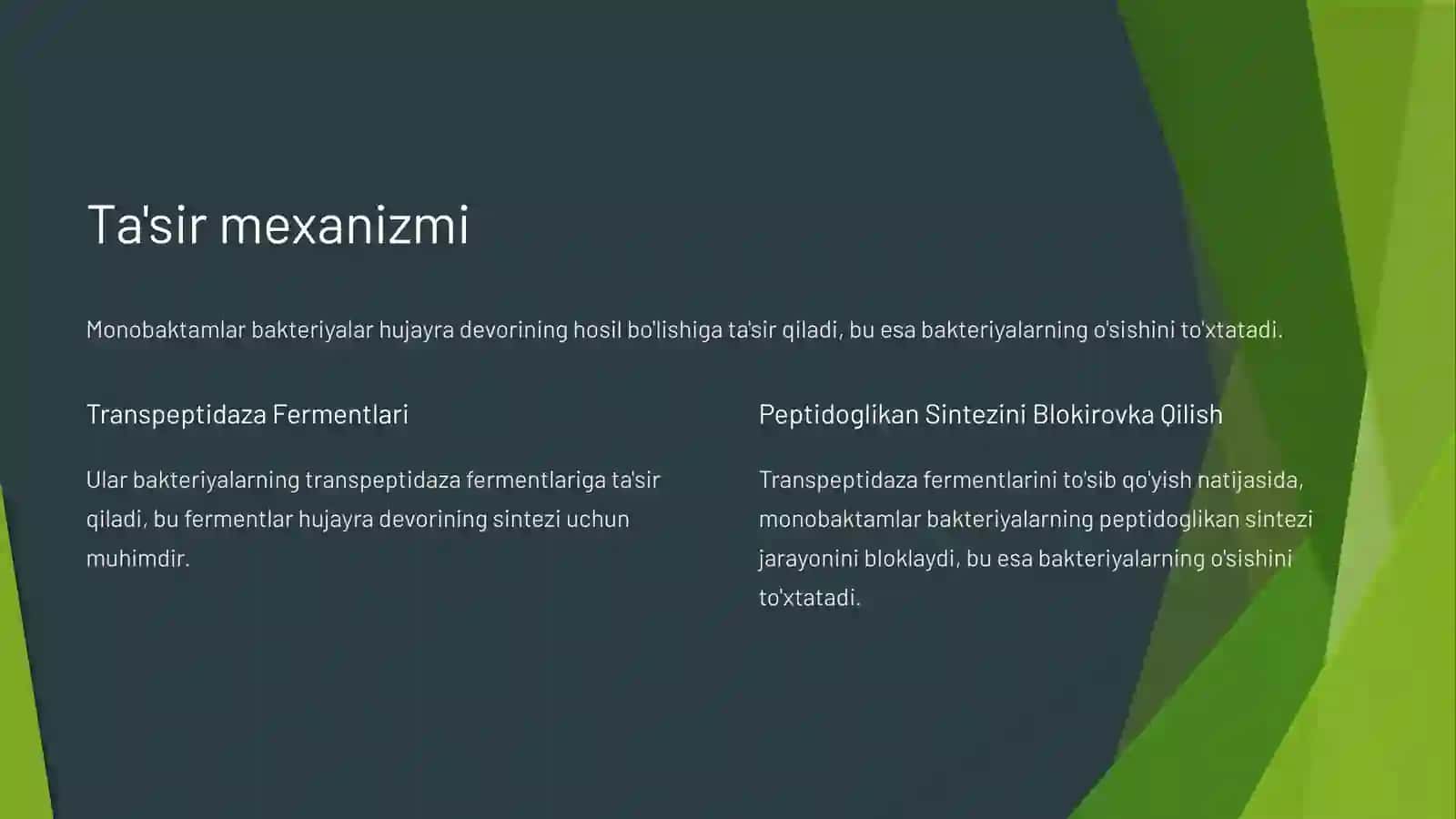 Monobaktamlar 2