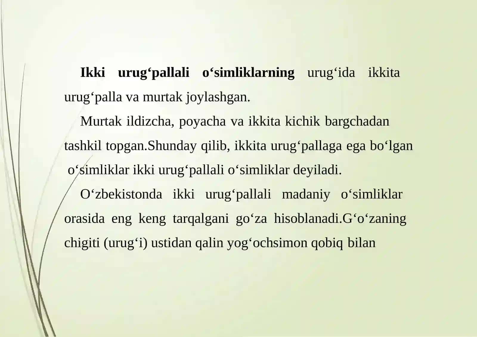 Urug‘ birvaikki pallali o‘simliklarurug‘iningtuzilishi 2